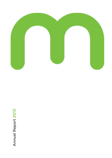 Miniature Solvar Limited Rapport annuel 2013