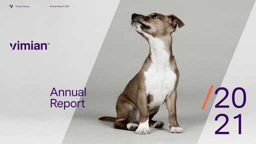 Miniature Vimian Group Rapport annuel 2021