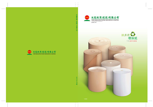 Vorschaubild Nine Dragons Paper Jahresbericht 2017-2018