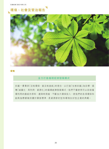 Thumbnail Nine Dragons Paper ESG Report 2016-2017