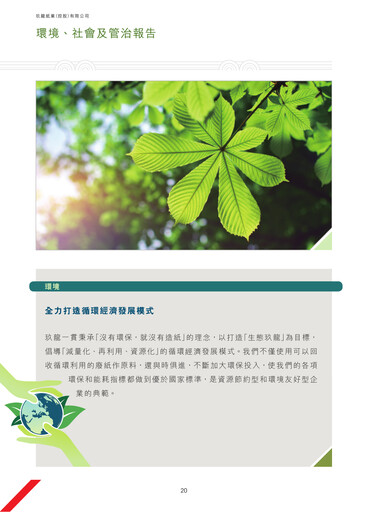 Thumbnail Nine Dragons Paper ESG Report 2017-2018