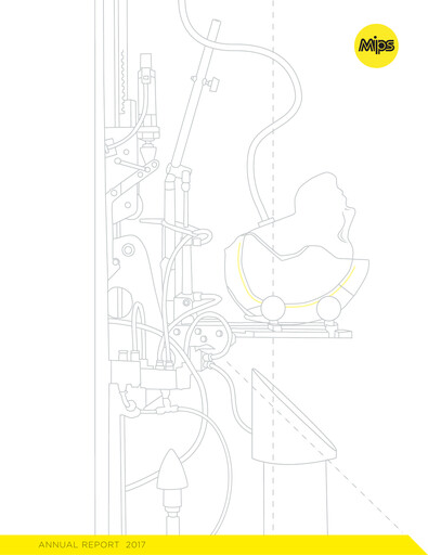 Miniature Mips AB Rapport annuel 2017