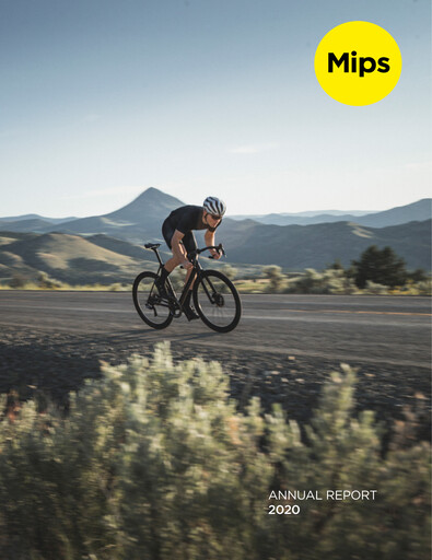 Miniature Mips AB Rapport annuel 2020
