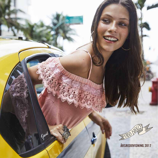 Miniature Logistea AB Rapport annuel 2017