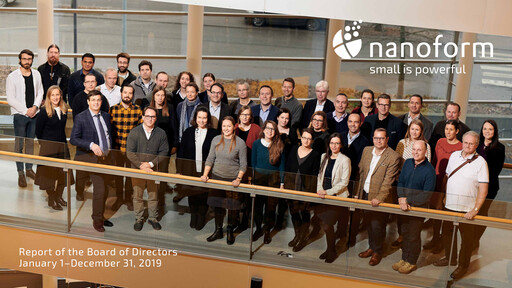 Thumbnail Nanoform Finland Financial Statement 2019