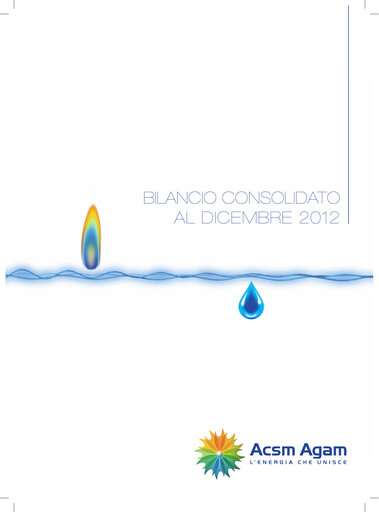 Thumbnail Acinque Financial Statement 2012