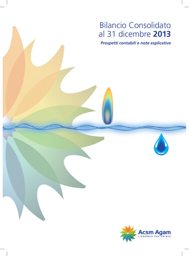 Thumbnail Acinque Financial Statement 2013