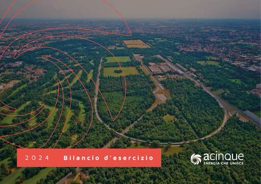 Thumbnail Acinque Financial Statement 2024