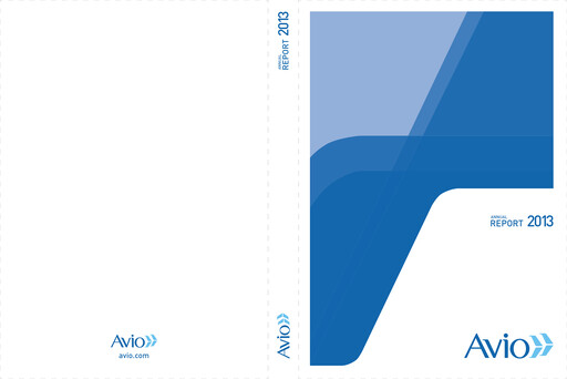 Miniature Avio S.p.A. Rapport annuel 2013