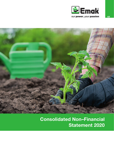 Thumbnail Emak S.p.A. Sustainability Report 2020