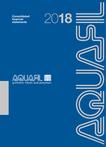 Thumbnail Aquafil Financial Statement 2018