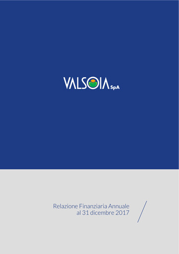 Thumbnail Valsoia S.p.A. Financial Statement 2017