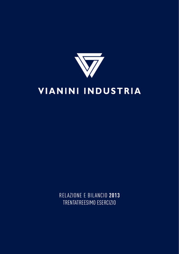 Miniature Vianini Rapport annuel 2013