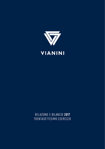 Miniature Vianini Rapport annuel 2017