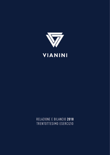 Miniature Vianini Rapport annuel 2018