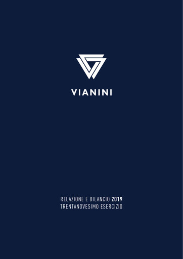 Miniature Vianini Rapport annuel 2019