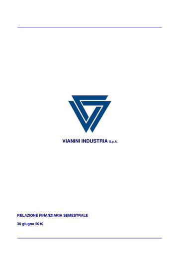 Miniature Vianini Rapport semestriel 2010-h1