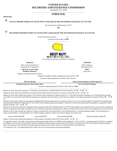 Thumbnail Best Buy Financial Report 2016-2017