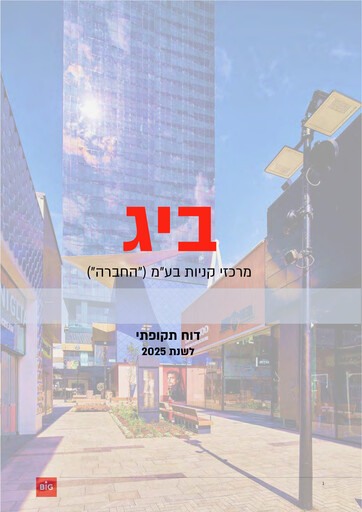 Thumbnail BIG Shopping Centers Financial Statement 2025