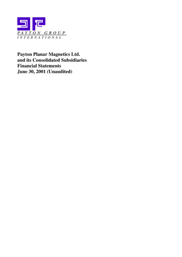 Miniature Payton Industries Bilan financier 2001-h1