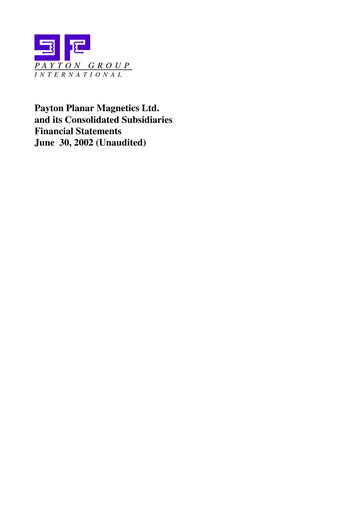 Miniature Payton Industries Bilan financier 2002-h1