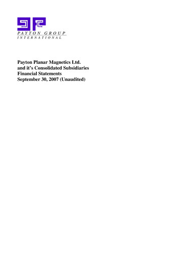 Miniature Payton Industries Bilan financier 2007-9m