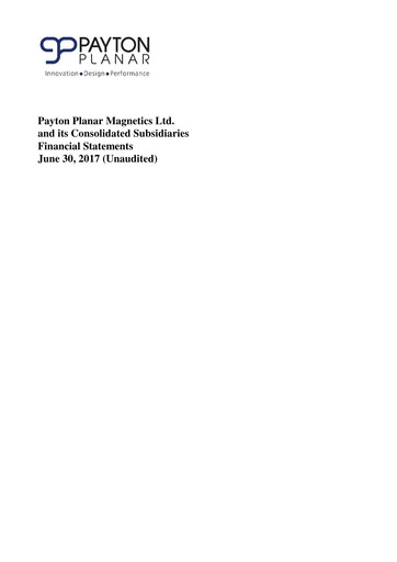 Miniature Payton Industries Bilan financier 2017-h1