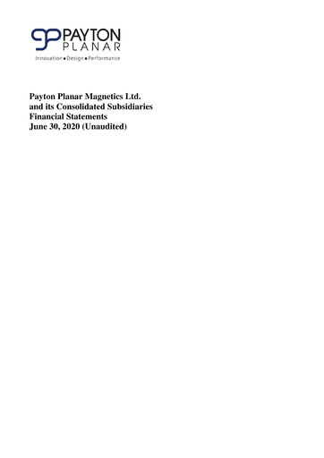 Miniature Payton Industries Bilan financier 2020-h1