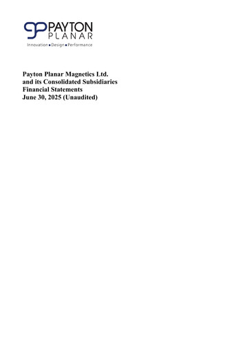 Miniature Payton Industries Bilan financier 2025-h1