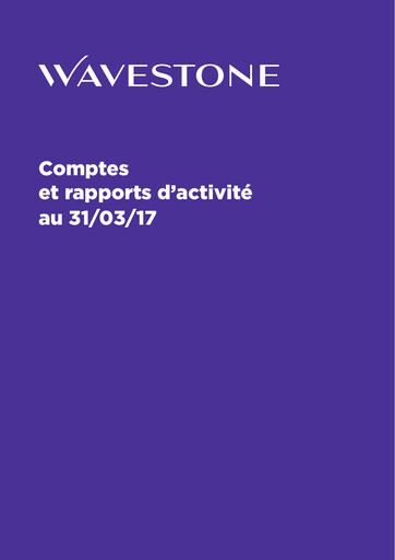 Thumbnail Wavestone SA Financial Report 2016-2017