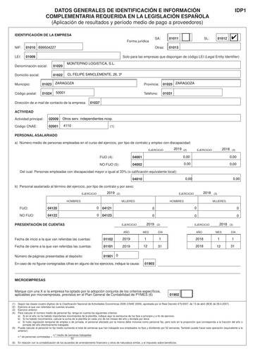 Thumbnail Montepino Logística Financial Statement 2019