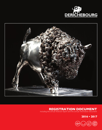 Vorschaubild Derichebourg Universelles Registrierungsdokument 2016-2017
