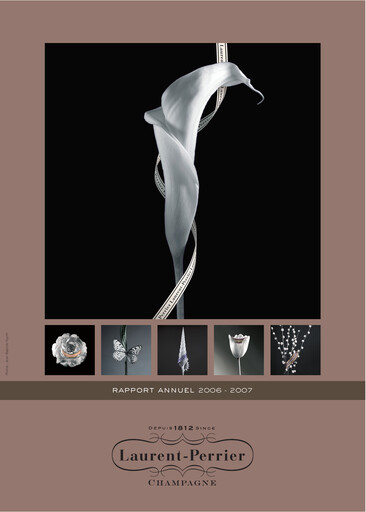 Vorschaubild Laurent-Perrier Universelles Registrierungsdokument 2006-2007