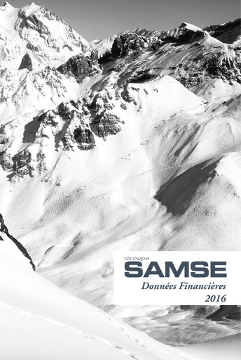 Thumbnail Groupe SAMSE Financial Statement 2016
