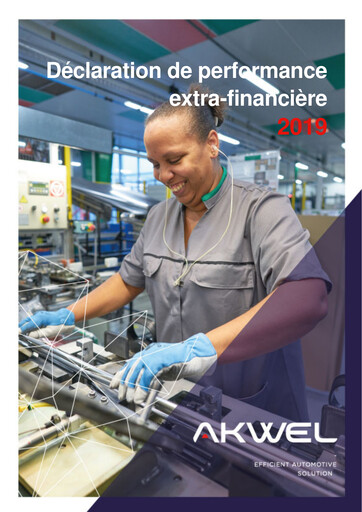 Thumbnail Akwel SA ESG Report 2019