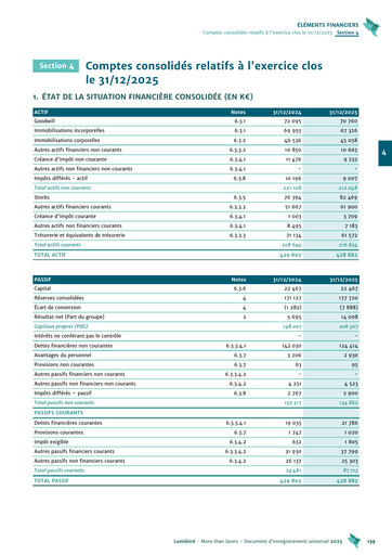 Thumbnail Lumibird Financial Statement 2025