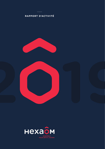 Miniature Hexaom Rapport annuel 2019
