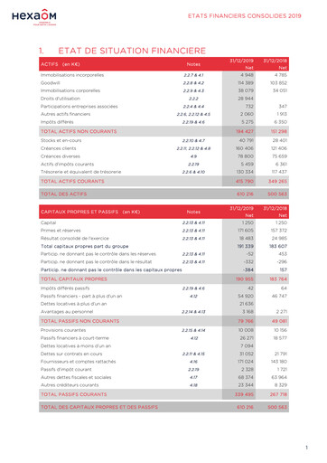 Miniature Hexaom Bilan financier 2019