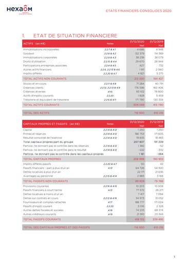 Miniature Hexaom Bilan financier 2020