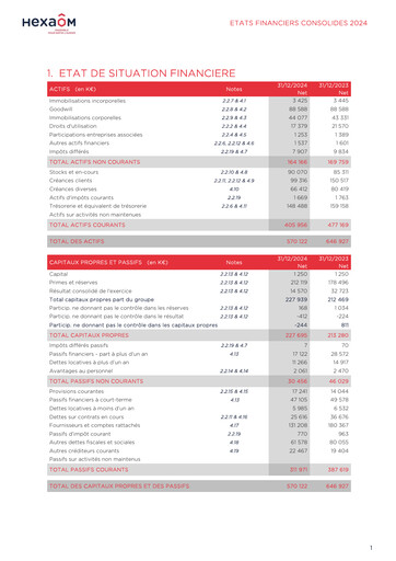 Miniature Hexaom Bilan financier 2024