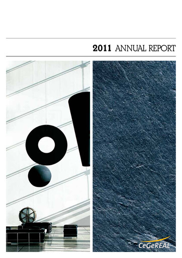 Thumbnail Vitura SA Annual Report 2011