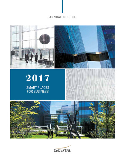 Thumbnail Vitura SA Annual Report 2017