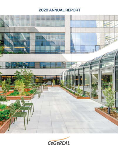 Thumbnail Vitura SA Annual Report 2020