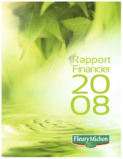 Miniature Fleury Michon Rapport financier 2008