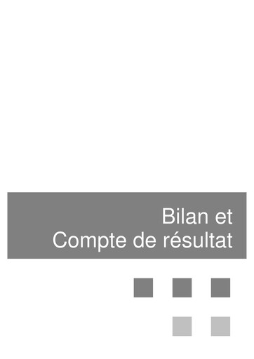 Thumbnail MGI Digital Technology Financial Statement 2008