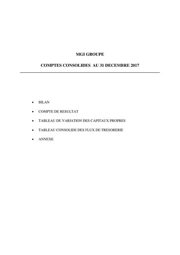 Thumbnail MGI Digital Technology Financial Statement 2017