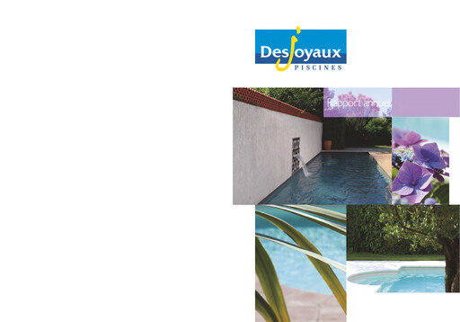 Thumbnail Piscines Desjoyaux Annual Report 2012-2013