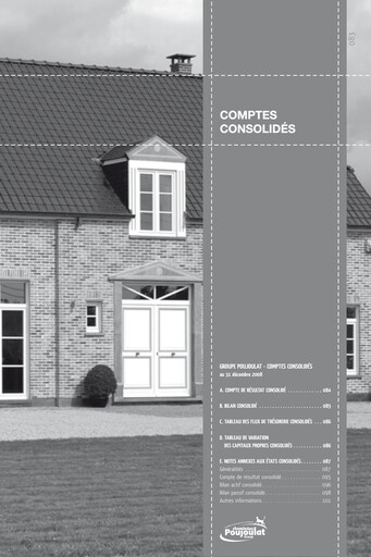 Thumbnail Poujoulat Financial Statement 2008
