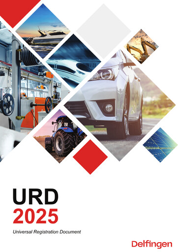 Vorschaubild Delfingen Industry Universelles Registrierungsdokument 2025