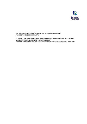 Thumbnail Advanced Petrochemical Financial Statement 2022-9m